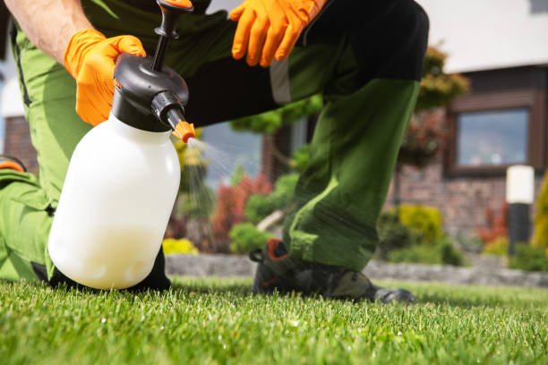 Best Affordable Pest Control Services  in Frankfort, IL
