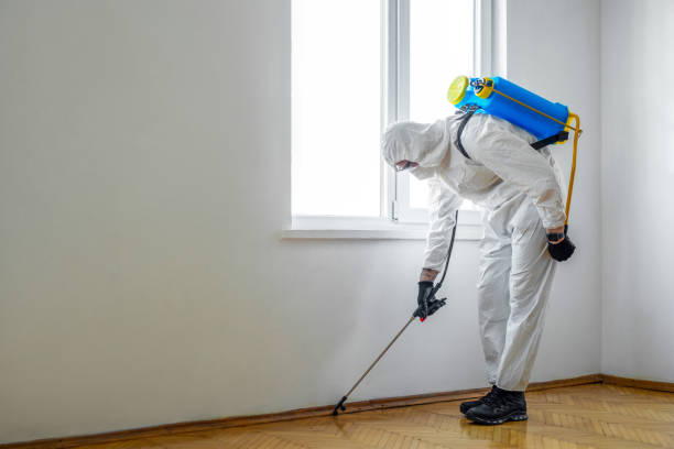 Best Pest Control for Restaurants  in Frankfort, IL