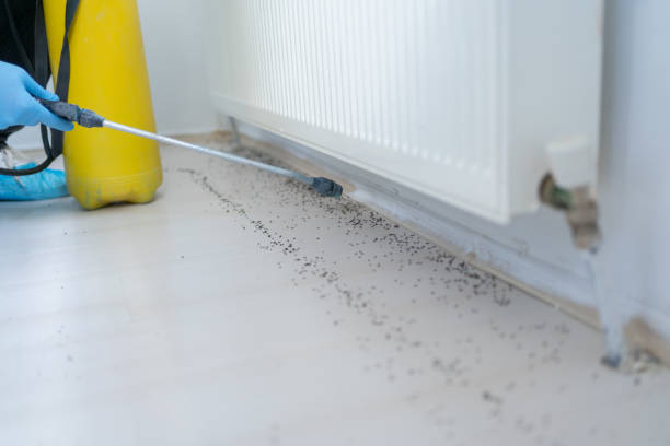 Best Emergency Pest Control  in Frankfort, IL