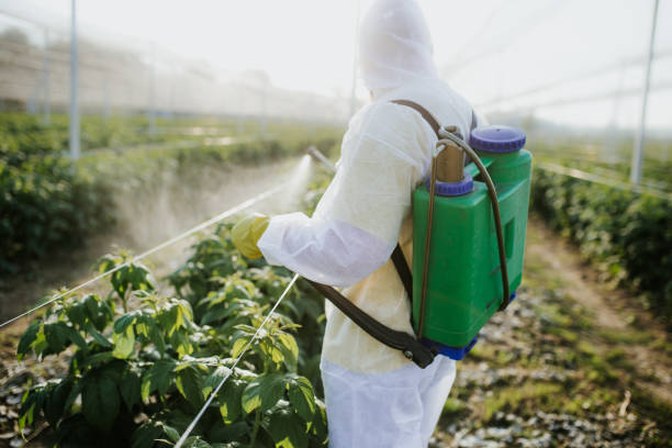 Best Cockroach Control Services  in Frankfort, IL